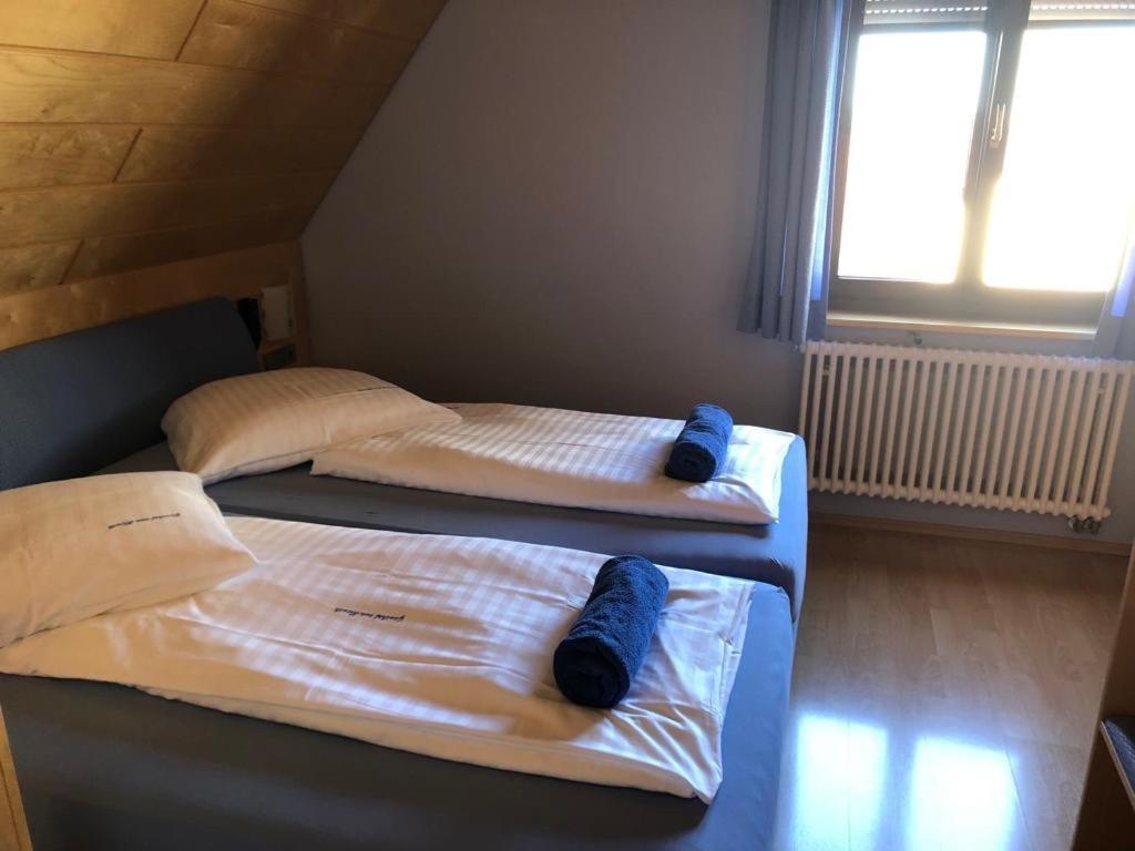 Gasthof Zum Hirsch Sachsenheim Eksteriør billede